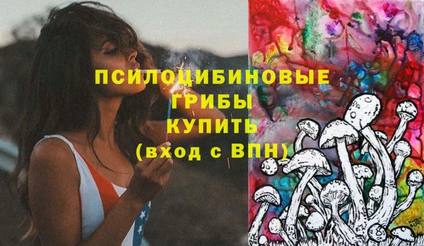 ПСИЛОЦИБИНОВЫЕ ГРИБЫ Костерёво
