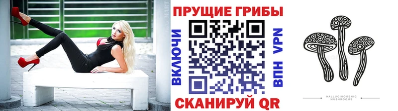 Купить закладки  Биробиджан  Галлюциногенные грибы Psilocybine cubensis 